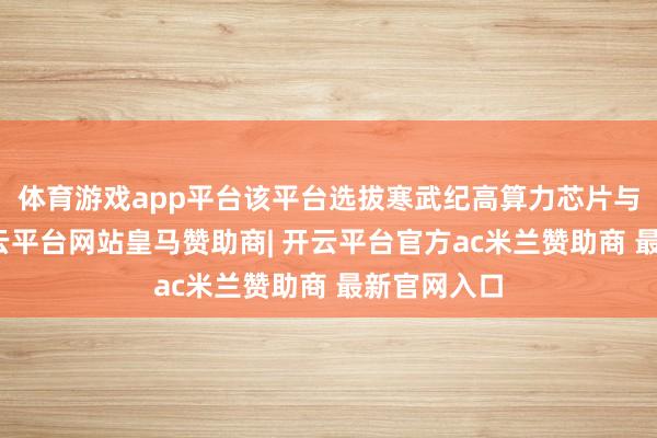 体育游戏app平台该平台选拔寒武纪高算力芯片与软件栈-开云平台网站皇马赞助商| 开云平台官方ac米兰赞助商 最新官网入口