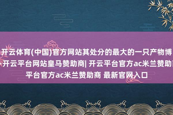 开云体育(中国)官方网站其处分的最大的一只产物博时成长领航A/C-开云平台网站皇马赞助商| 开云平台官方ac米兰赞助商 最新官网入口