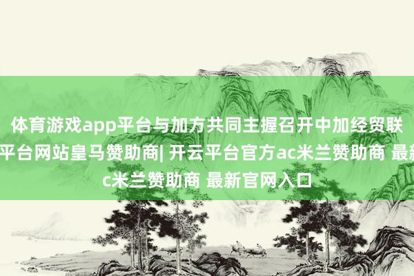 体育游戏app平台与加方共同主握召开中加经贸联委会-开云平台网站皇马赞助商| 开云平台官方ac米兰赞助商 最新官网入口