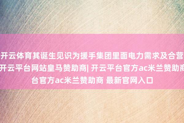 开云体育其诞生见识为援手集团里面电力需求及合营集团出产药品-开云平台网站皇马赞助商| 开云平台官方ac米兰赞助商 最新官网入口