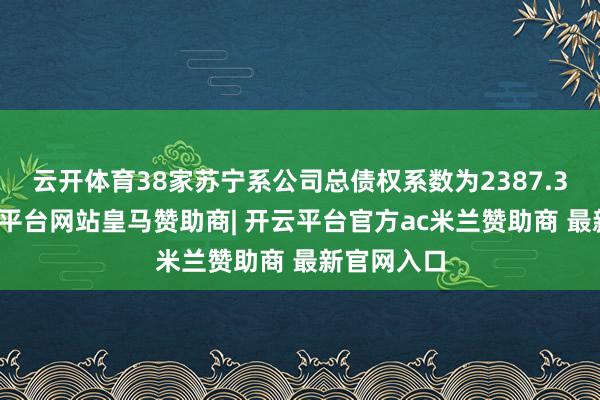 云开体育38家苏宁系公司总债权系数为2387.3亿元-开云平台网站皇马赞助商| 开云平台官方ac米兰赞助商 最新官网入口